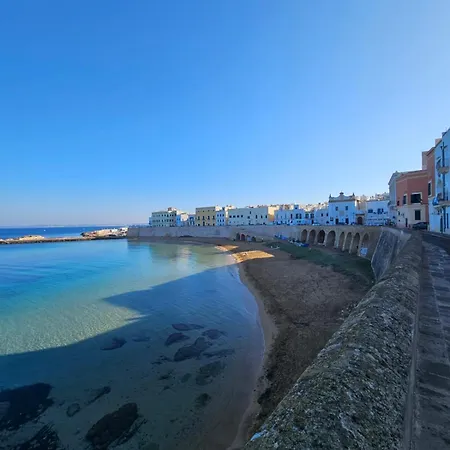 Lola's - Old Town - Purita * Gallipoli